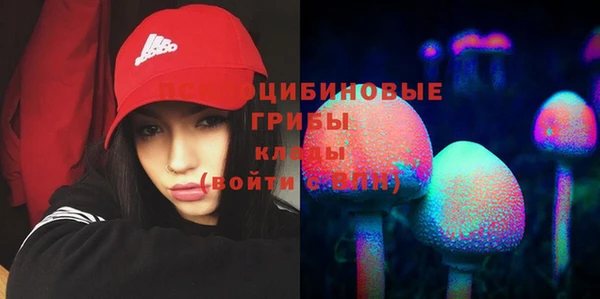 хмурый Алексеевка