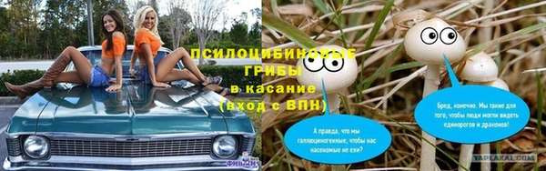 хмурый Алексеевка