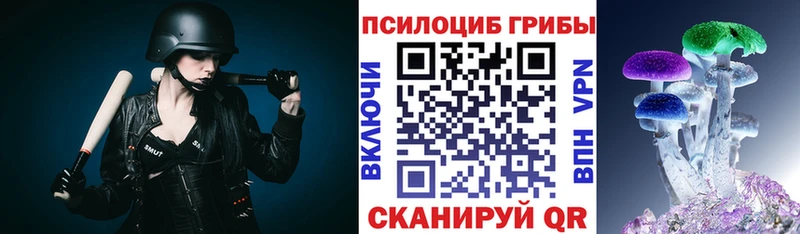 купить наркотик  Саки  площадка состав  Галлюциногенные грибы Cubensis 
