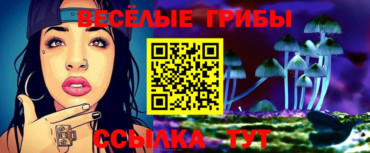Псилоцибиновые грибы Psilocybine cubensis  Галлюциногенные грибы Cubensis  Вход с VPN  Саки 